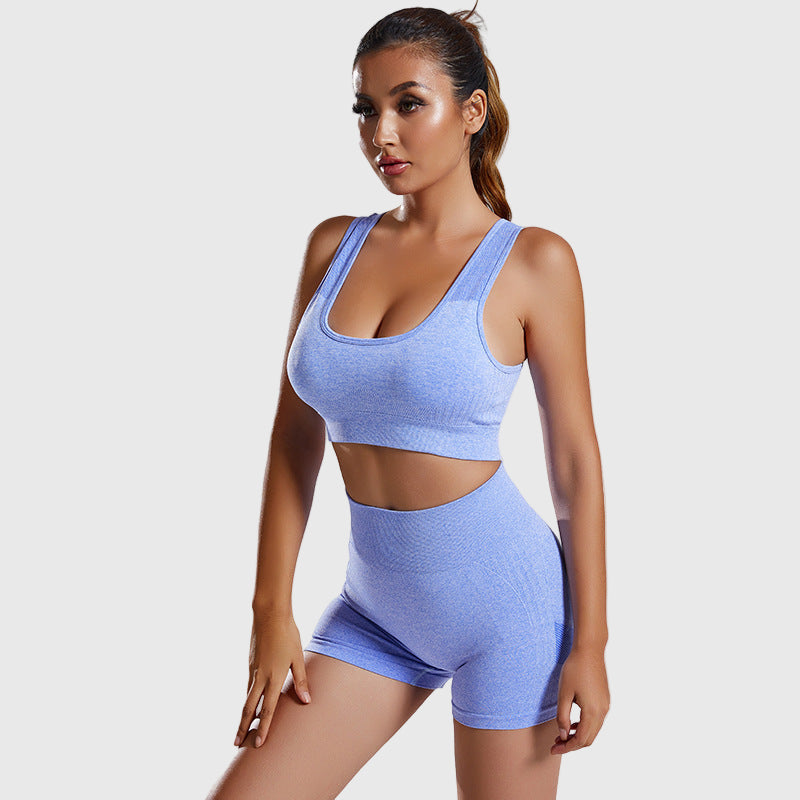 Seamless Yoga Outfit Set